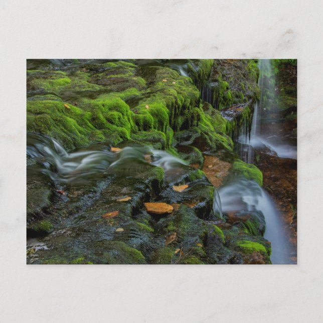 USA, Pennsylvania, Benton, Ricketts Glen State Postkarte (Vorderseite)