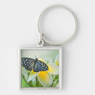 USA, Pennsylvania. Frack Schmetterling Schlüsselanhänger