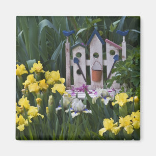 USA, Pennsylvania. Garten-Schwertlilien wachsen um Magnet