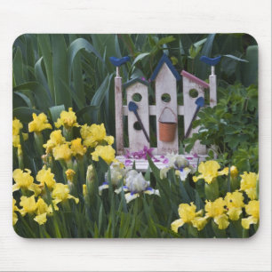 USA, Pennsylvania. Garten-Schwertlilien wachsen um Mousepad
