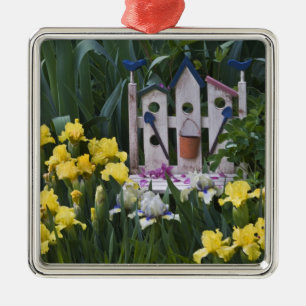 USA, Pennsylvania. Garten-Schwertlilien wachsen um Ornament Aus Metall