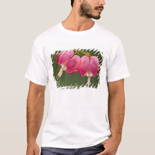 USA, Pennsylvania. Nahaufnahme von zwei blutenden T-Shirt