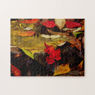 USA, Pennsylvania, Pocono-Gebirge 1