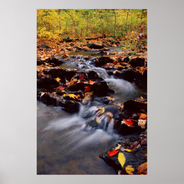 USA, Pennsylvania, Pocono-Gebirge 2 Poster (Vorne)