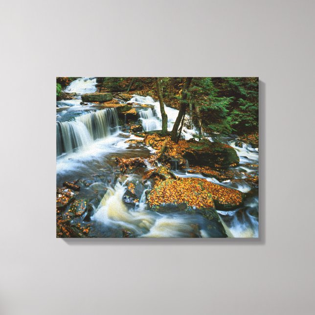 USA, Pennsylvania, Ricketts Glen Staat Park Leinwanddruck (Vorderseite)