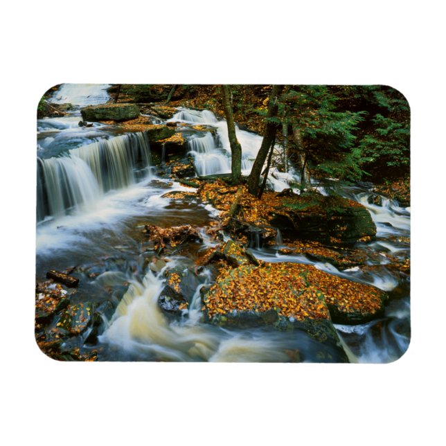 USA, Pennsylvania, Ricketts Glen Staat Park Magnet (Horizontal)