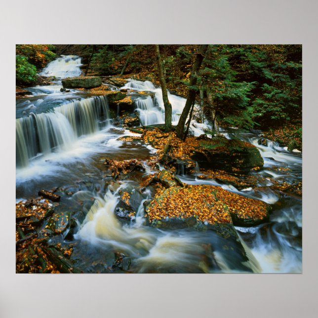 USA, Pennsylvania, Ricketts Glen Staat Park Poster (Vorne)