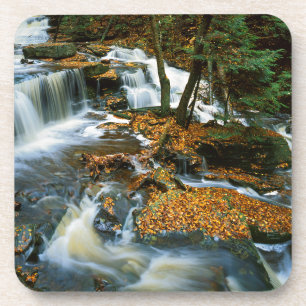 USA, Pennsylvania, Ricketts Glen State Park Untersetzer