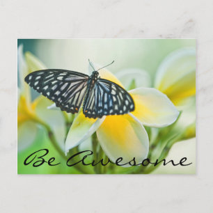 USA, Pennsylvania. Schwalbenschwanz-Schmetterling Postkarte