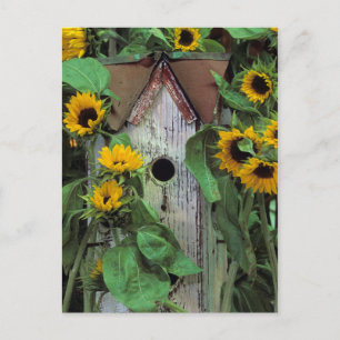 USA, Pennsylvania. Vogelhaus und Garten Postkarte