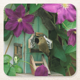 USA, Pennsylvania. Wren im Vogelhaus Rechteckiger Pappuntersetzer