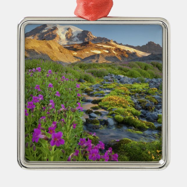 USA, Rainier National Park, Washington. Silbernes Ornament (Vorne)