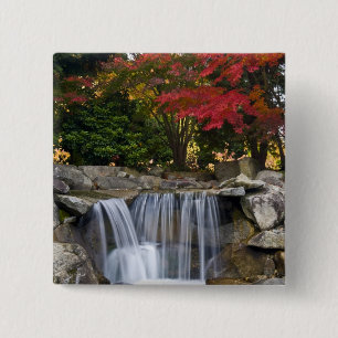 USA, Redmond, Washington. Herbstfarbe in einem Par Button