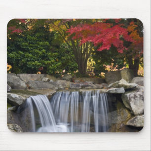 USA, Redmond, Washington. Herbstfarbe in einem Par Mousepad