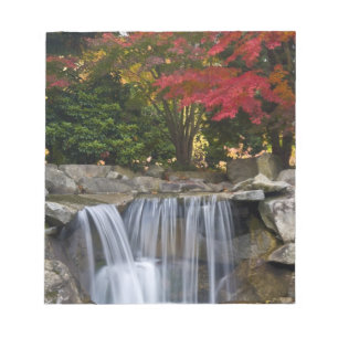 USA, Redmond, Washington. Herbstfarben in einem Pa Notizblock
