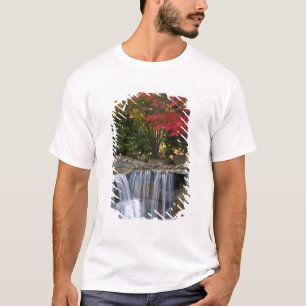 USA, Redmond, Washington. Herbstfarben in einem Pa T-Shirt