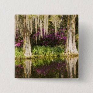 USA, South Carolina, Charleston. Zypressen Button