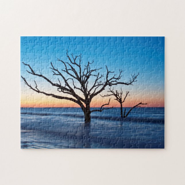 USA, South Carolina, Edisto Island, Botany Bay (Horizontal)
