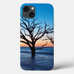 USA, South Carolina, Edisto Island, Botany Bay title_seo2