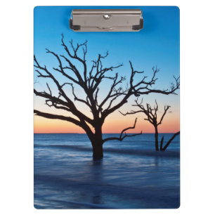 USA, South Carolina, Edisto Island, Botany Bay Klemmbrett