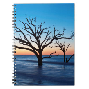 USA, South Carolina, Edisto Island, Botany Bay Notizblock