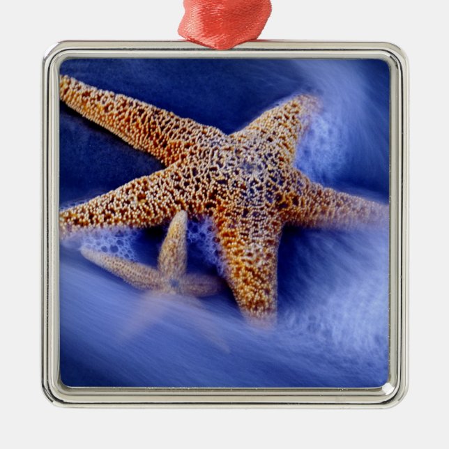 USA, South Carolina, Hilton Head Island.Zwei Ornament Aus Metall (Vorne)