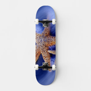USA, South Carolina, Hilton Head Island.Zwei Skateboard