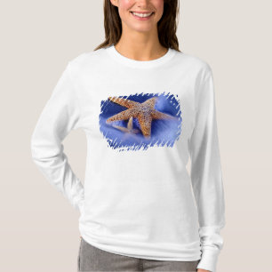 USA, South Carolina, Hilton Head Island. Zwei T-Shirt