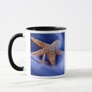 USA, South Carolina, Hilton Head Island.Zwei Tasse