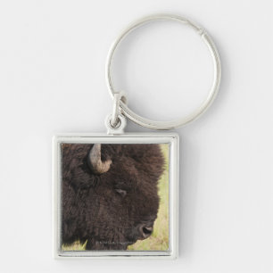 USA, South Dakota, amerikanischer Bison Schlüsselanhänger