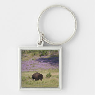 USA, South Dakota, amerikanischer Bison Schlüsselanhänger