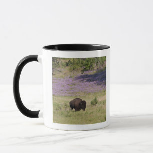 USA, South Dakota, amerikanischer Bison Tasse