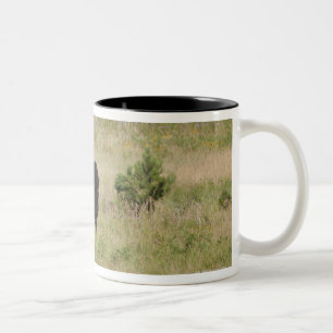 USA, South Dakota, amerikanischer Bison Zweifarbige Tasse