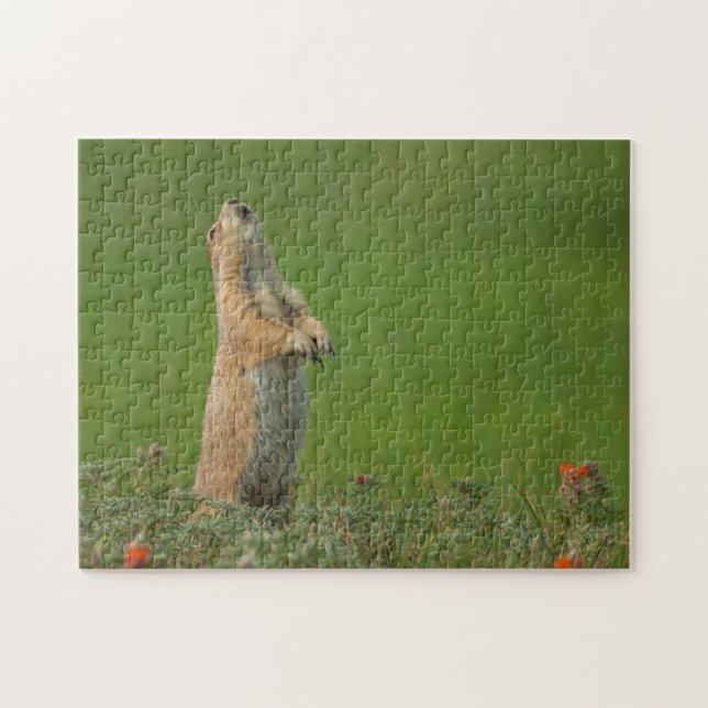 USA, South Dakota, Custer Staat Park (Horizontal)