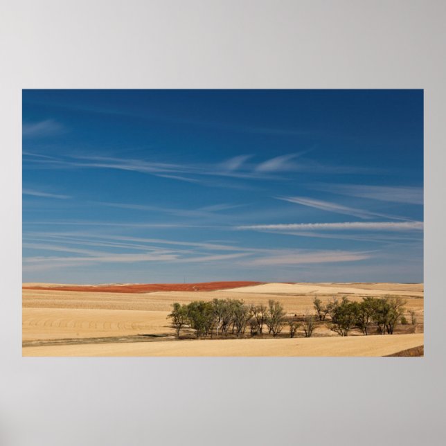 USA, Süddakota, Murdo, Prairie Landscape Poster (Vorne)