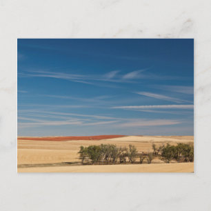 USA, Süddakota, Murdo, Prairie Landscape Postkarte