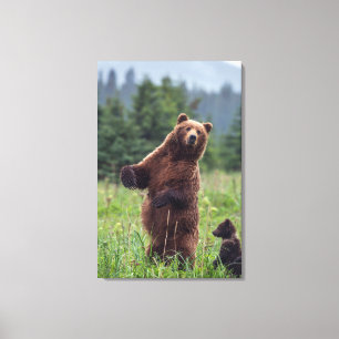 USA, Südost-Alaska, Braunbär und Jungtier Leinwanddruck