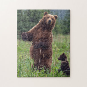 USA, Südost-Alaska, Brown Bear and cub