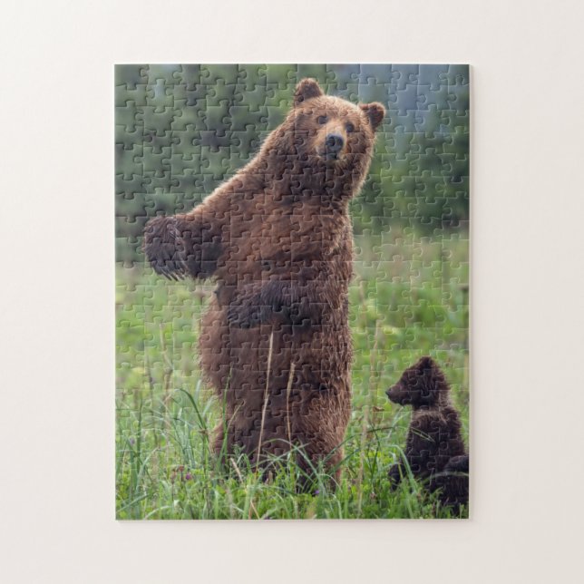 USA, Südost-Alaska, Brown Bear and cub (Vertikal)