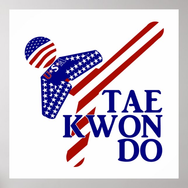 USA Taekwondo Kick (1) Poster (Vorne)
