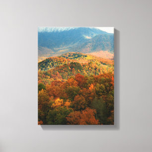 USA, Tennessee. Ansicht des schneebedeckten Mount Leinwanddruck