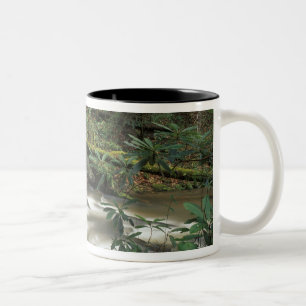 USA, Tennessee. Big South Fork National River Zweifarbige Tasse