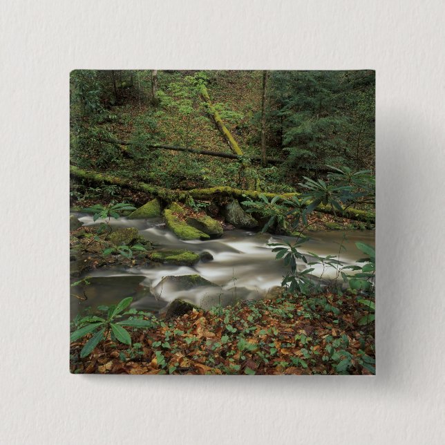 USA, Tennessee. Big South Gabelinsel Button (Vorderseite)