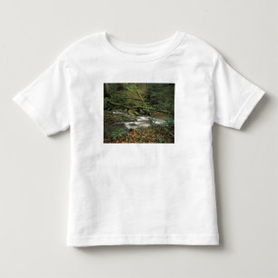 USA, Tennessee. Big South Gabelinsel Kleinkind T-shirt
