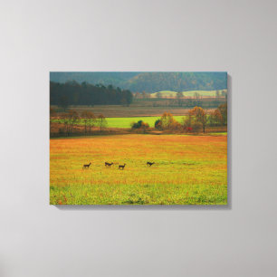USA, Tennessee. Cades Cove in der Smoky Mountain 2 Leinwanddruck