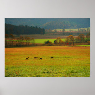 USA, Tennessee. Cades Cove in der Smoky Mountain 2 Poster