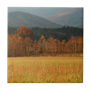 USA, Tennessee. Cades Cove in Smoky Mountain Fliese