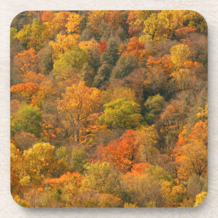 USA, Tennessee. Fall Foliage 2 Getränkeuntersetzer