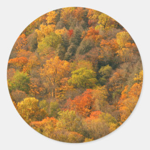 USA, Tennessee. Fall Foliage 2 Runder Aufkleber
