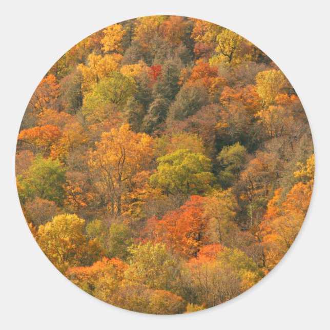 USA, Tennessee. Fall Foliage 2 Runder Aufkleber (Vorderseite)